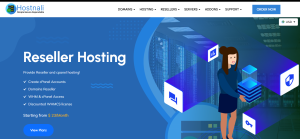 Reseller Hosting in South Africa