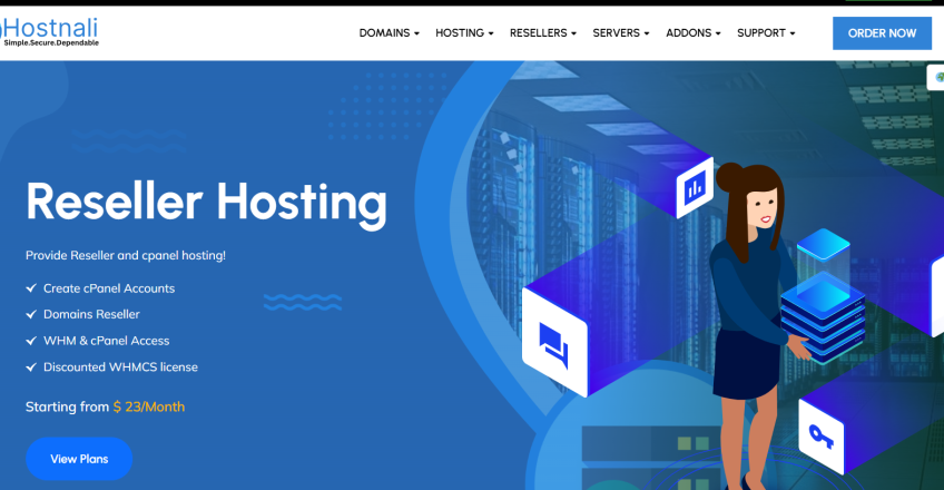 Reseller Hosting in South Africa